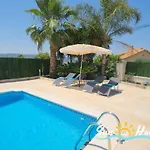 Oasis *