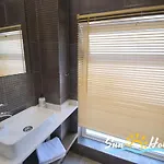 Oasis *
